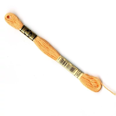 DMC 3825 Mouliné hímzőfonal