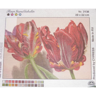 Gobelin előfestett alap DMC HÍMZŐFONALLAL 30x22 cm - 2138