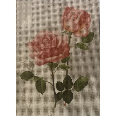 Gobelin előfestett alap DMC HÍMZŐFONALLAL 22x30 - Rózsaszálak 2075