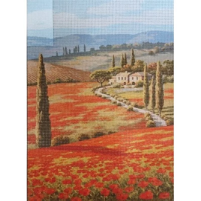 Gobelin előfestett alap DMC HÍMZŐFONALLAL 22x30 - Pipacsmező 4038